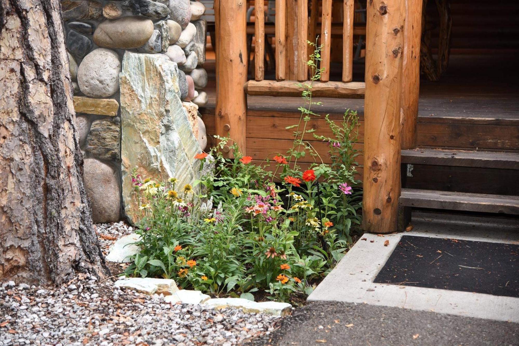 Grizzly Giant Villa Wawona Exterior foto
